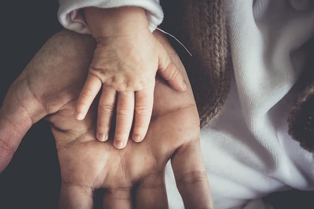 Complete Guide to Parenting Coaching Techniques