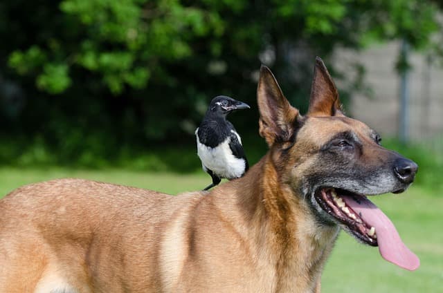 Diferencias Culturales en Amistades: Guía Completa
