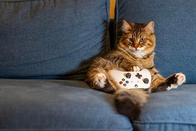 Gaming Consoles Black Friday: Your Ultimate Buying Guide