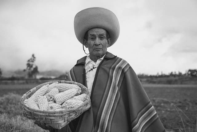 Guide d'achat sur la peinture indigène aborigène